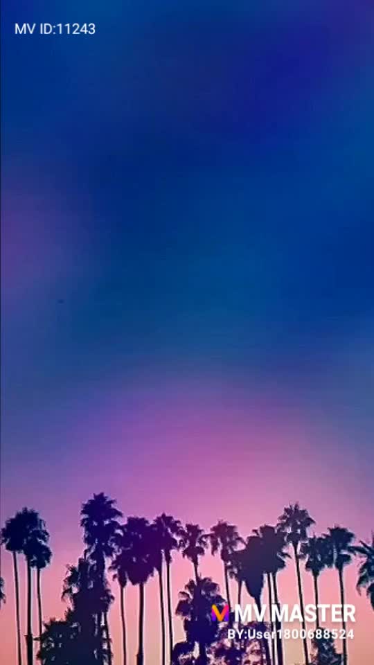 @user721779