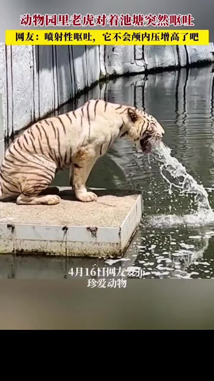 @✝️ 簡單 ✝️🕯️