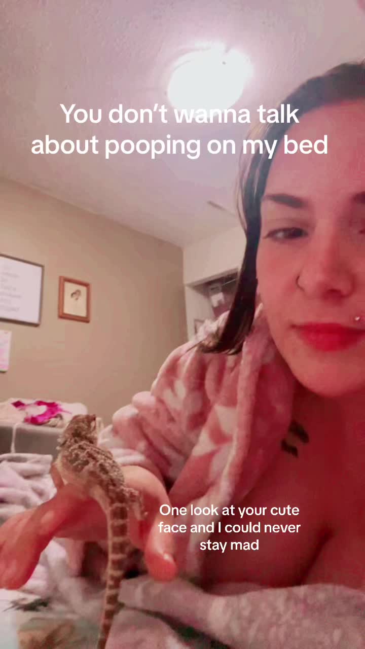 @Animal lover💕