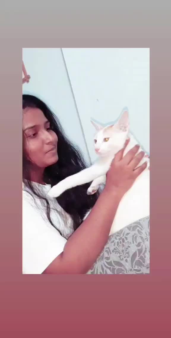 @cat girl