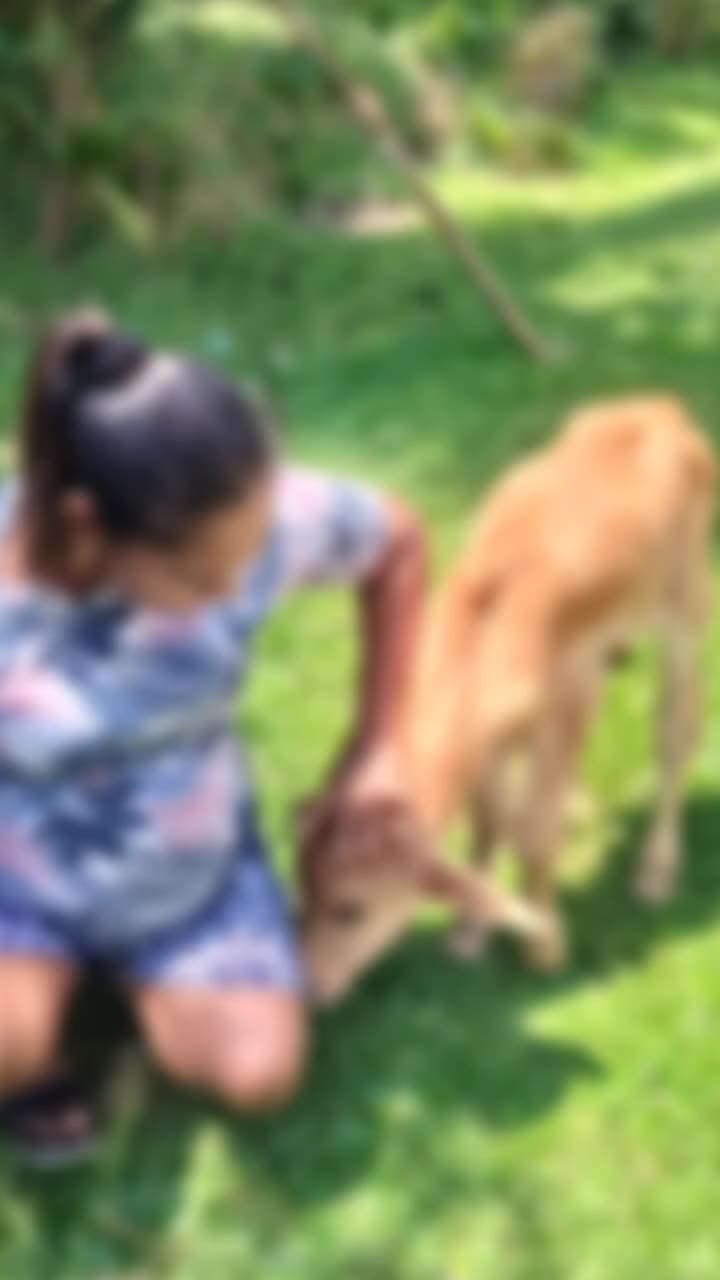@Kutty ponnew ❤️🔥✨❤️🔥✨❤️🔥
