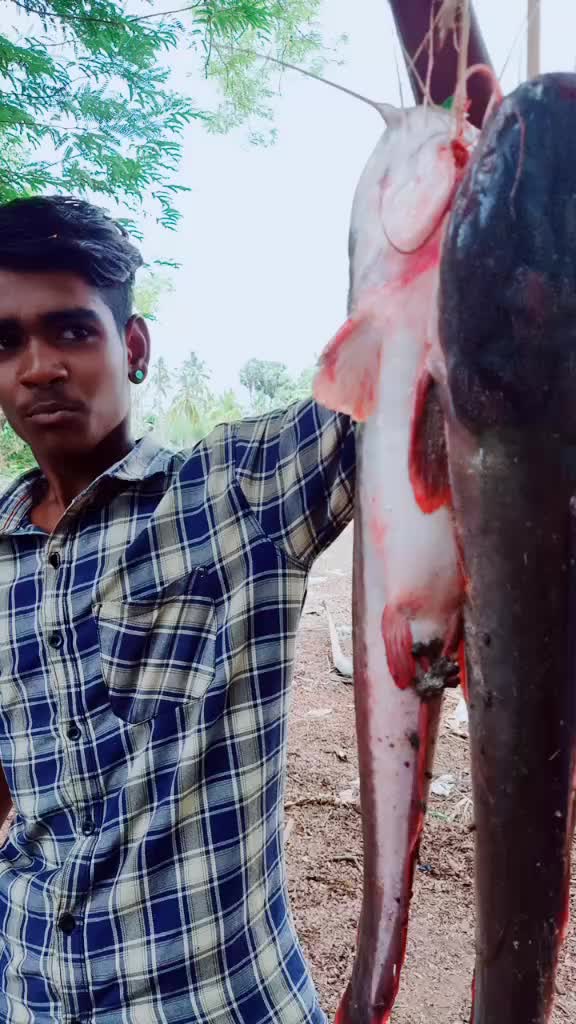 @singlesiva
