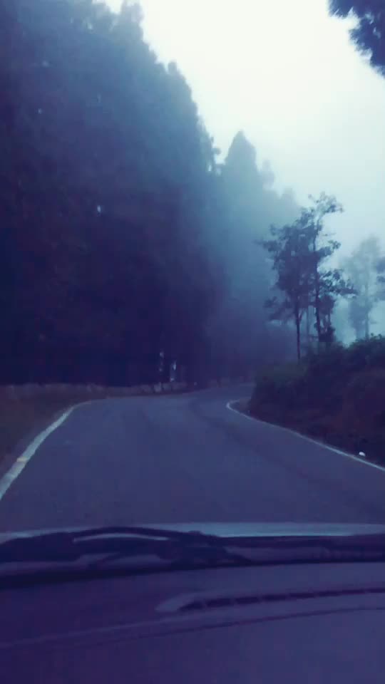 @Rimpa Biswas