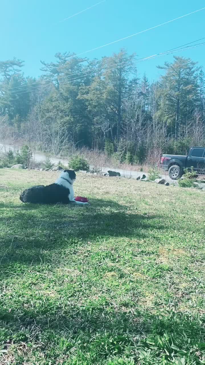 @baygiaussie