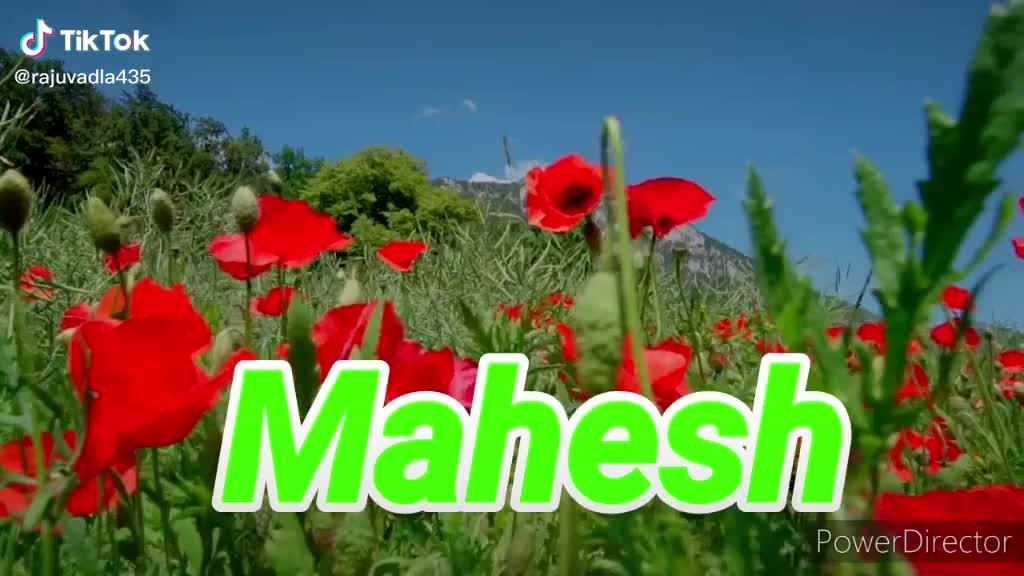 @Mahesh Banoth Banoth
