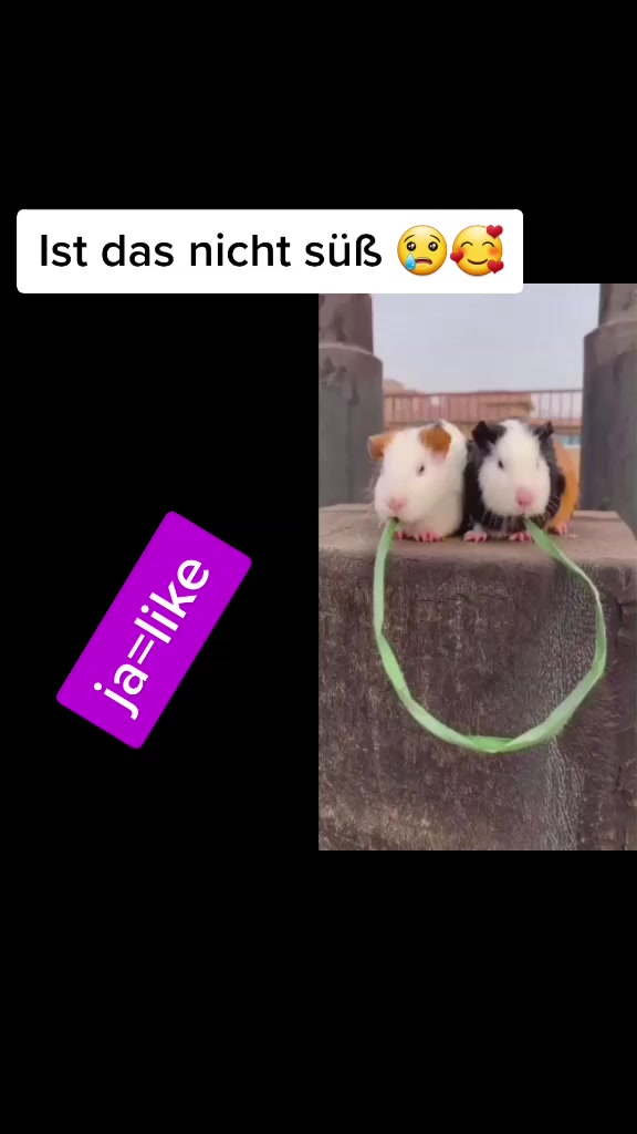 @try_tiktak