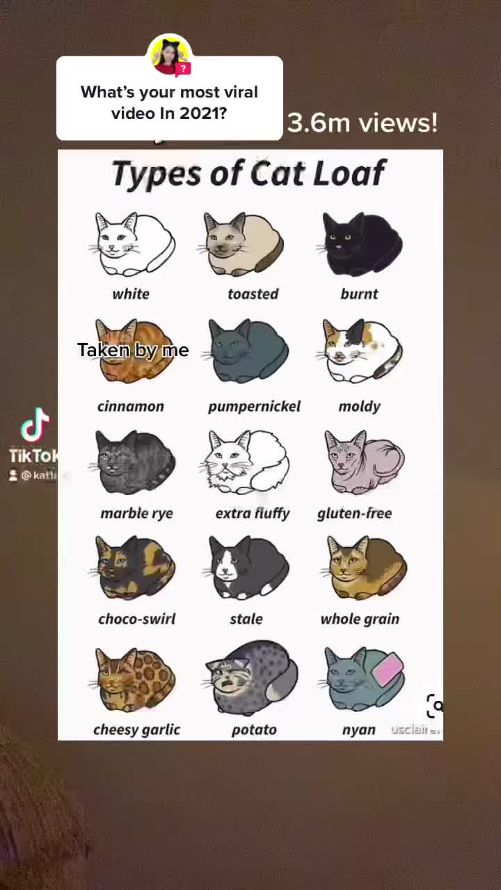 @๐๐๐ญ๐ข๐ โ