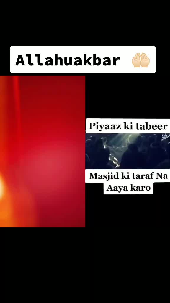 @saikajamshed0786
