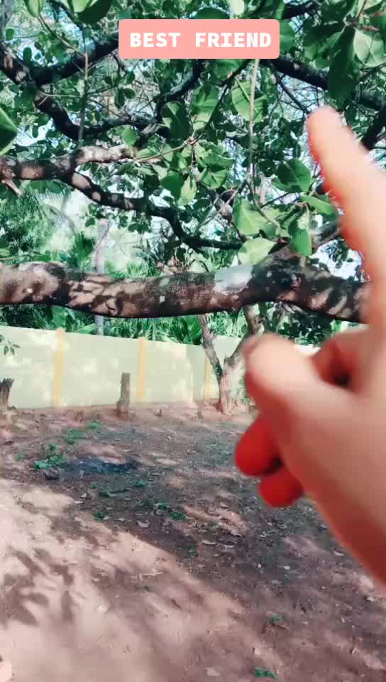 @chandu