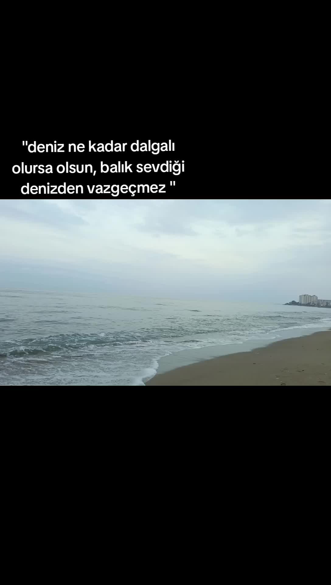 @✨BERİL_47✨