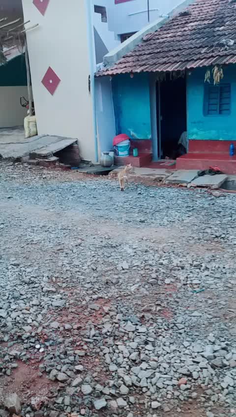 @Seema RJ