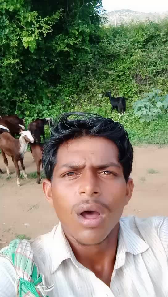 @Srikanth Reddy