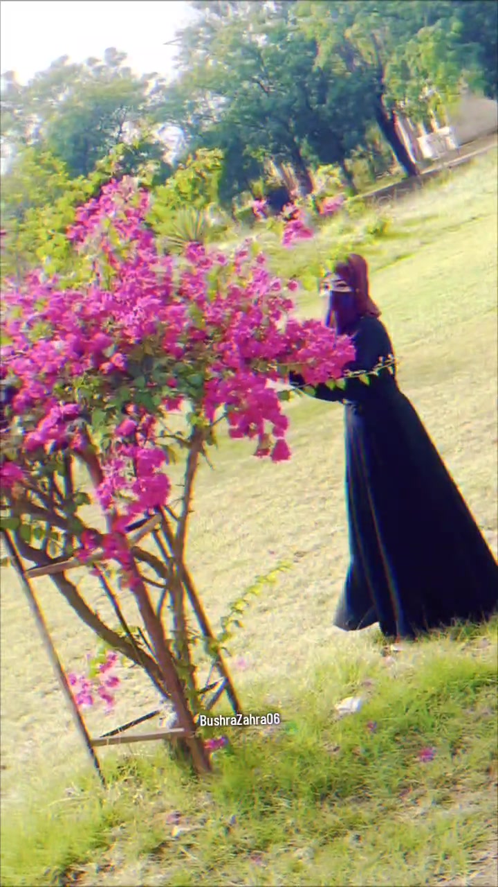 @Bushra Zahra