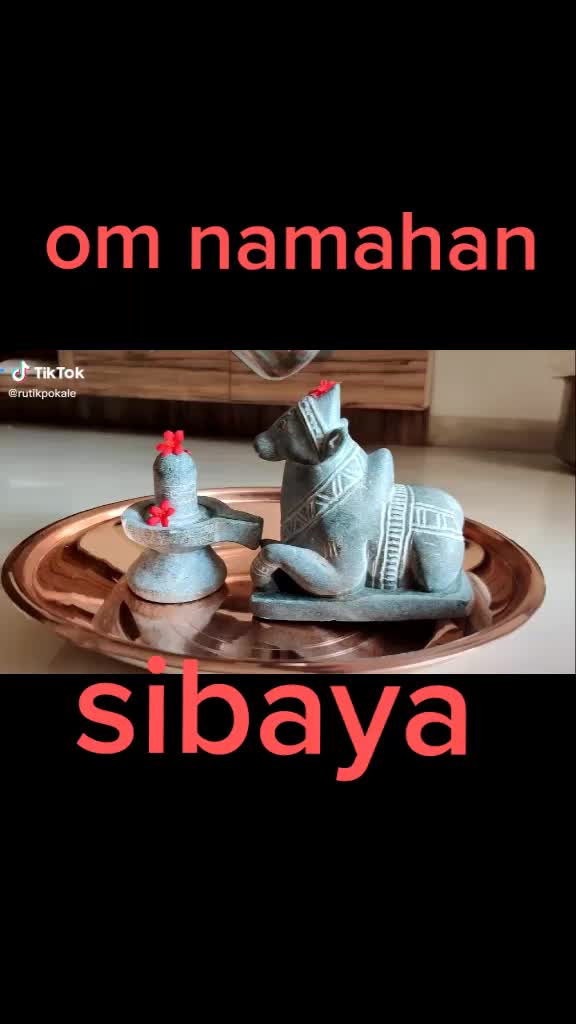 @mr. Siddharth01