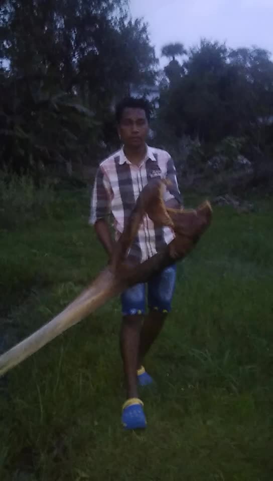 @biru 1432