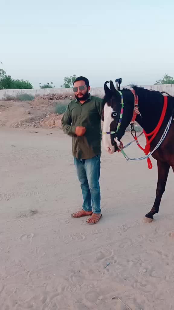 @Ruturaj Sinh Vaghela