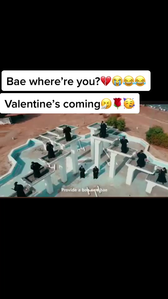 @user8277086798724
