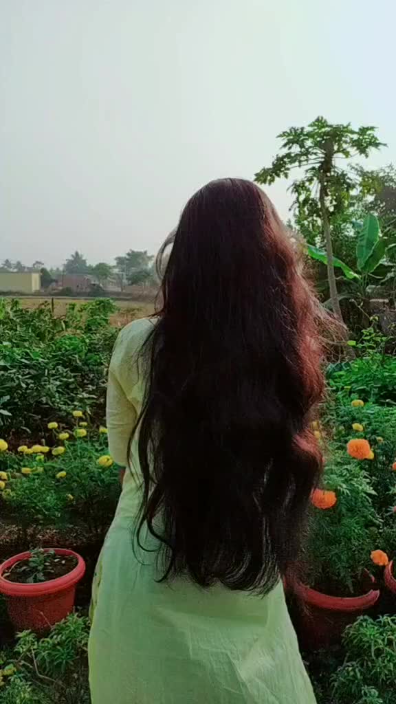 @gloriouslussi