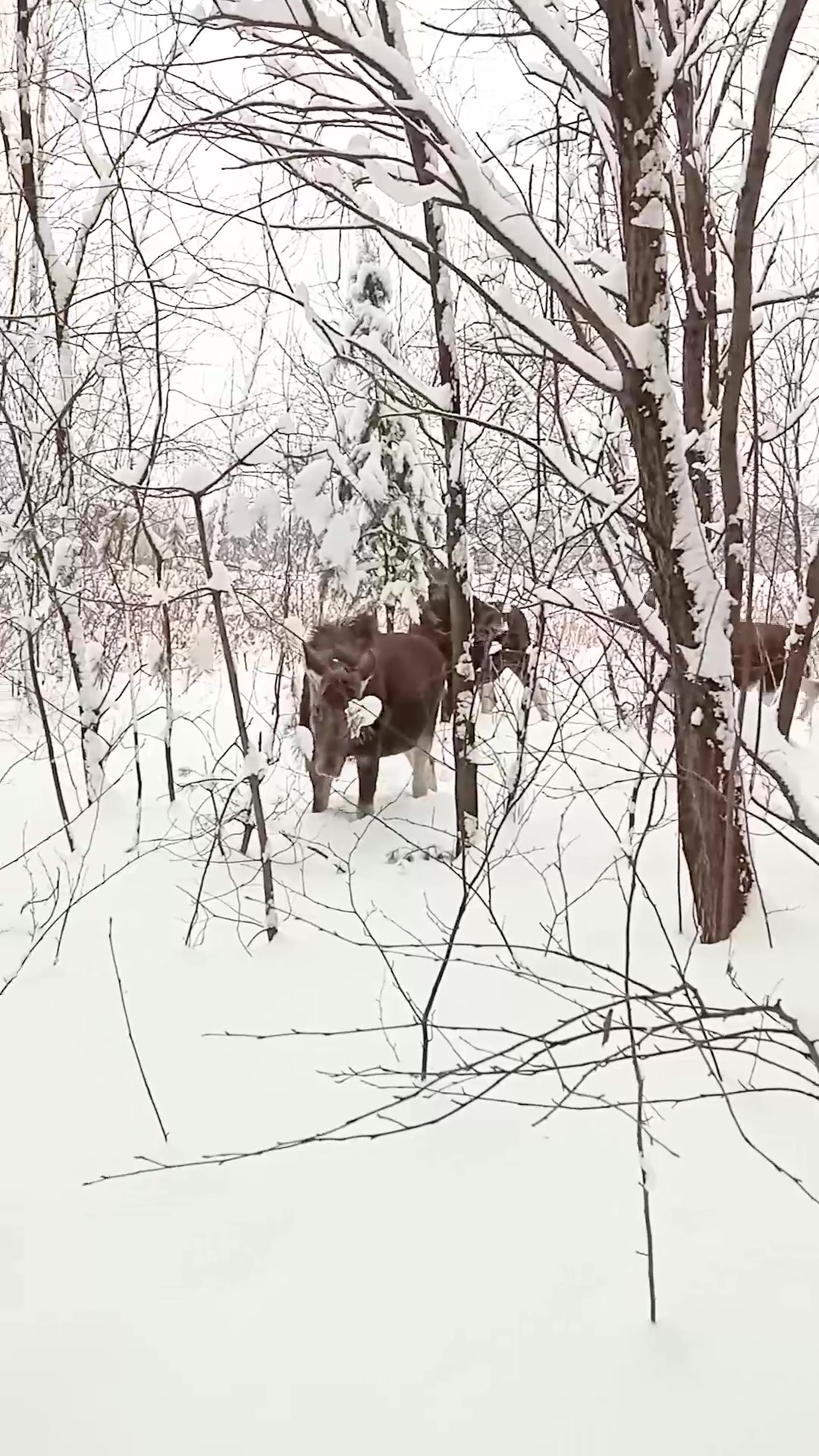 @Евгений Evgeniy
