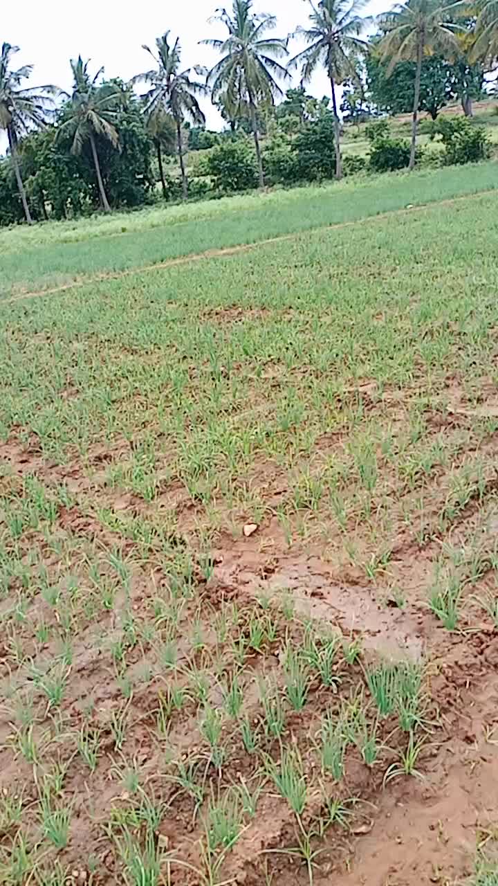 @Jaga Mandya Jaga Man