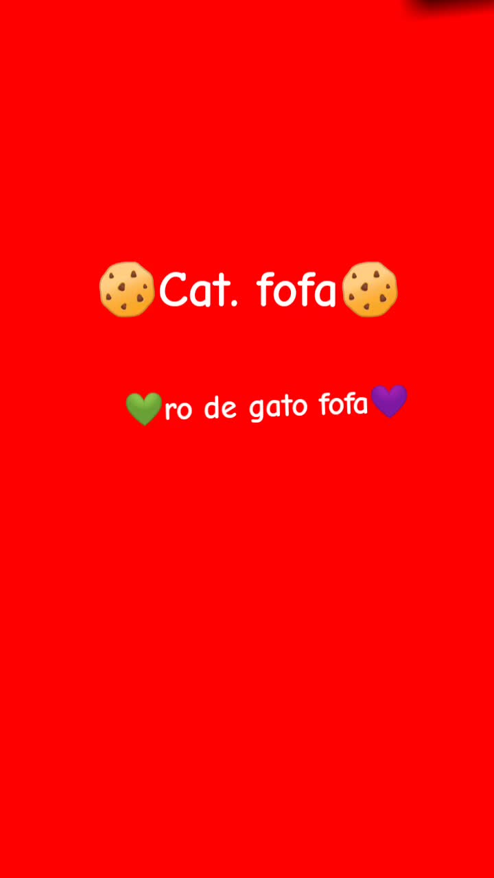 @Mika_kitbr