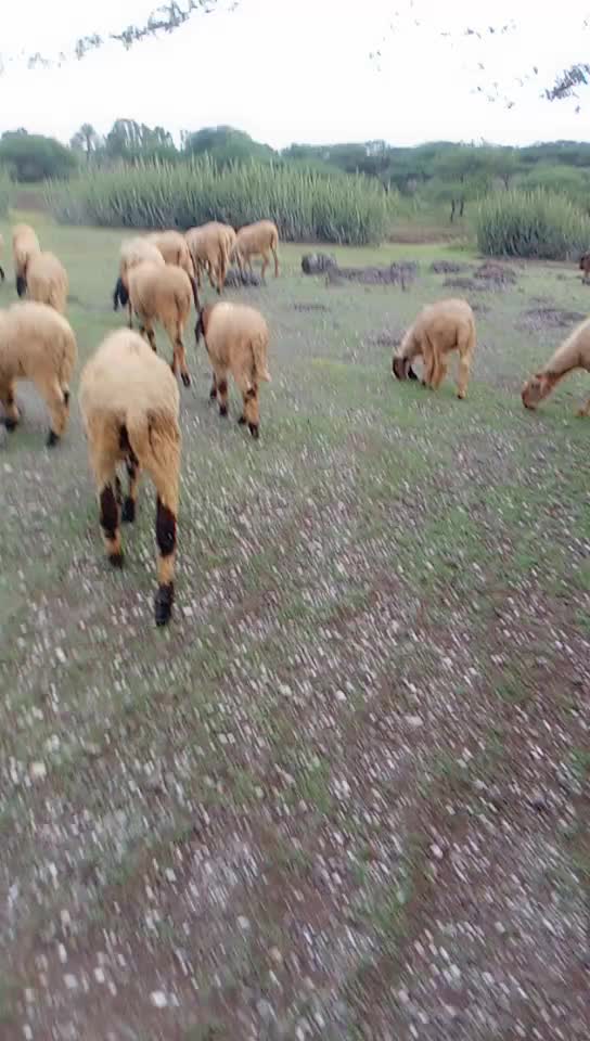 @KAMLESH RABARI