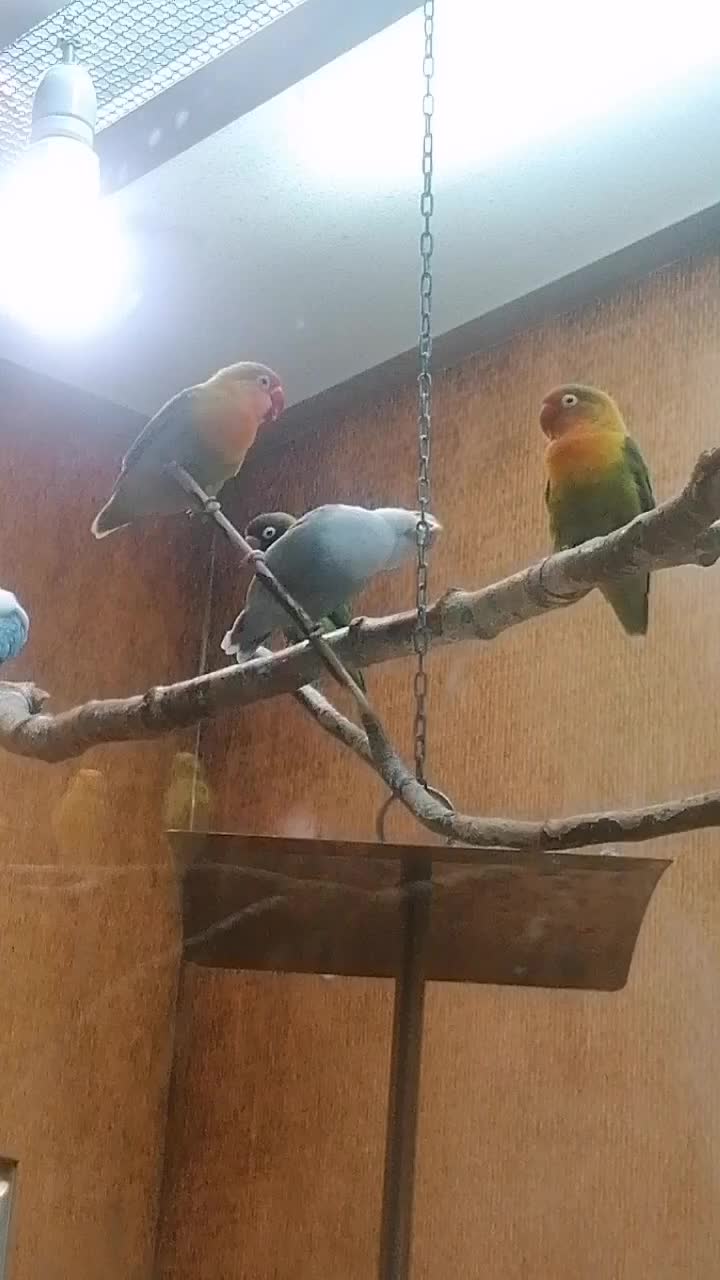 @मौनताको आवाज✍️