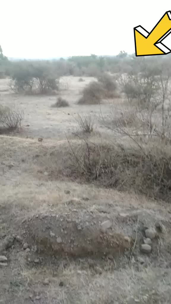 @Gadhavi raj
