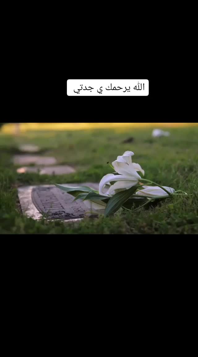 @محمد حمام