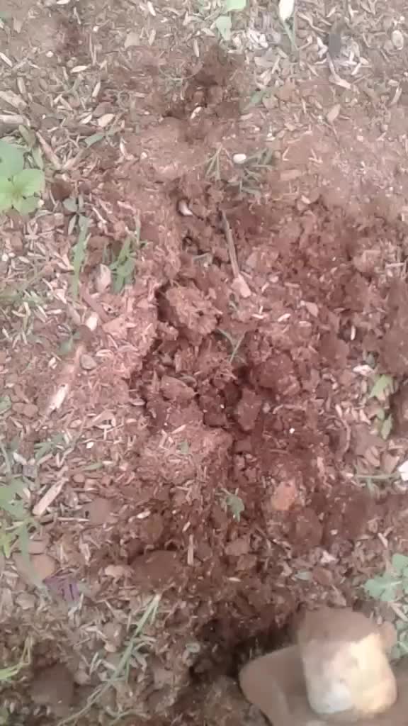 @Tukaram Thopate