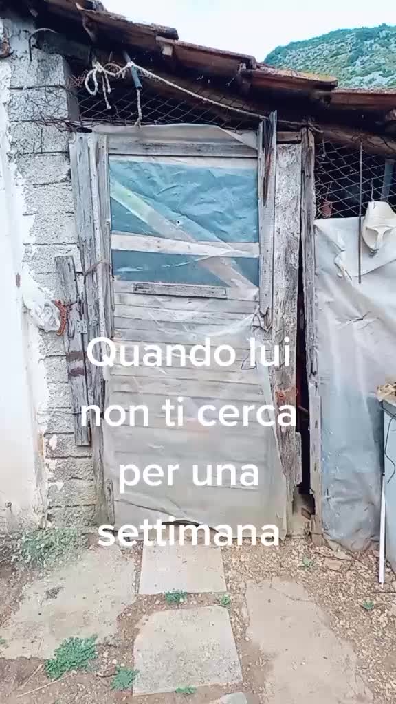 @Tamara Partigianoni🌼