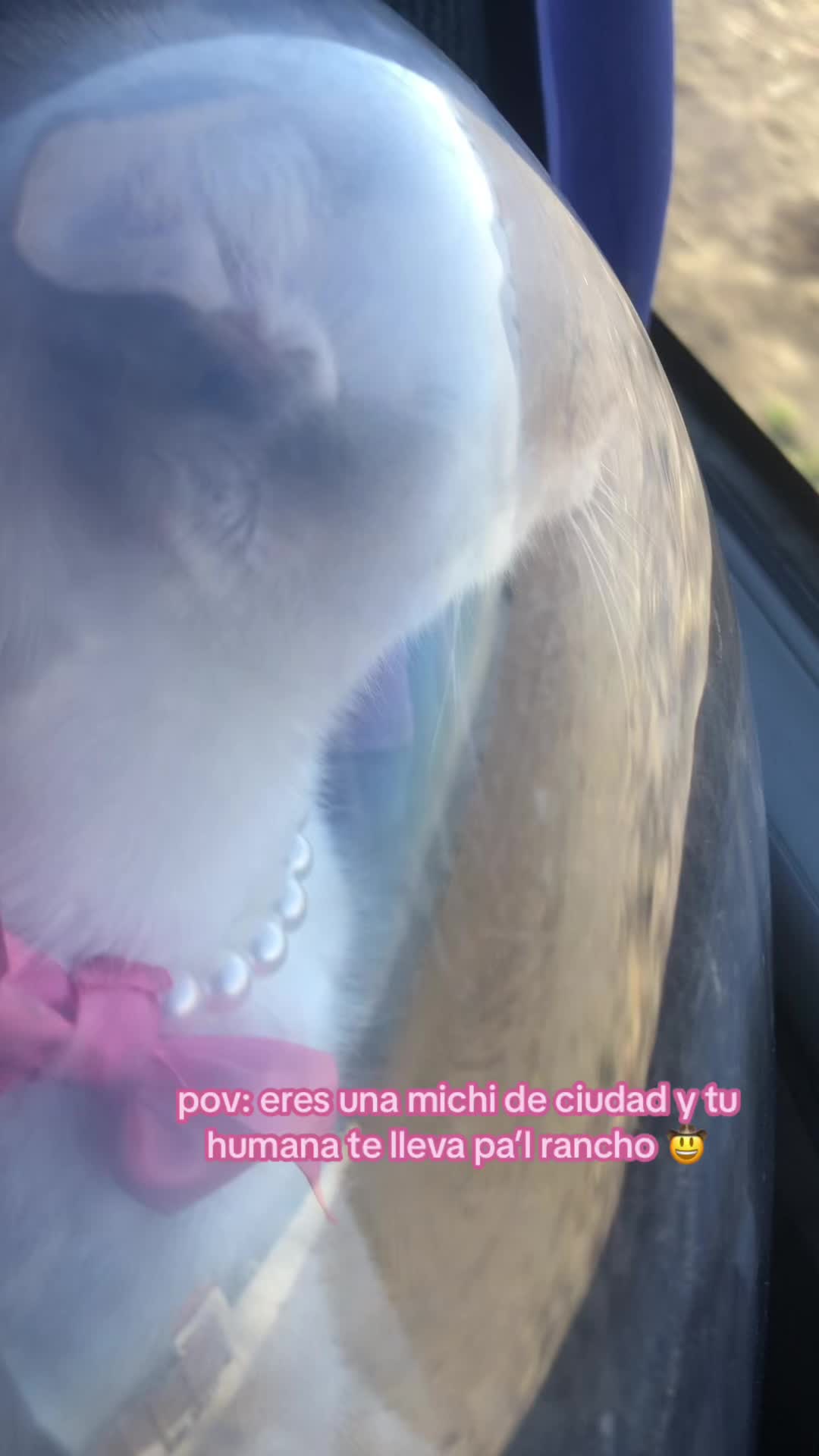 @Ashley Romero