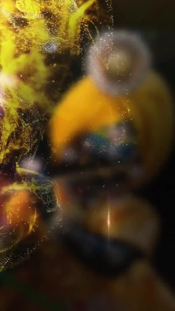 @⫷⎝⎝✰✮✰ мʀ.કાᏉ● ✰✮✰ ⎠⎠⫸