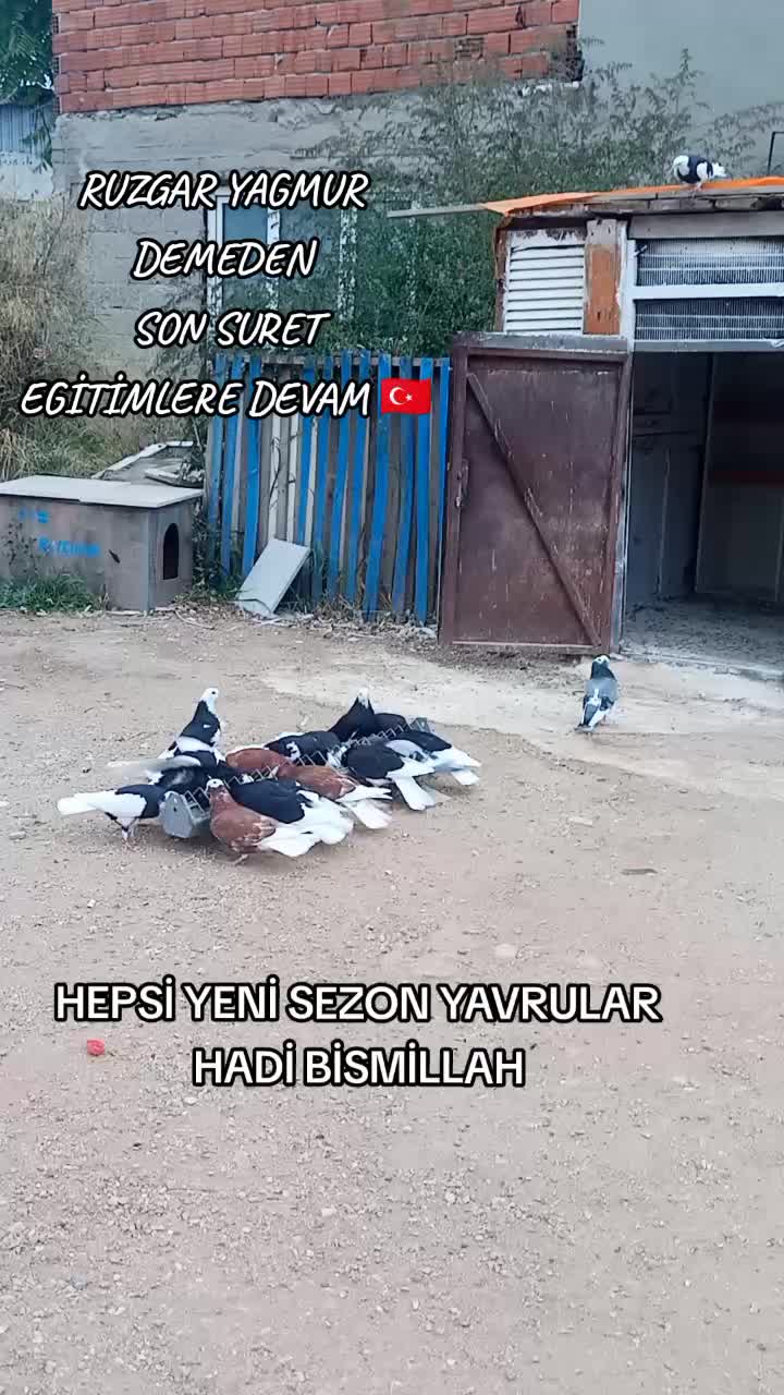 @İsmail Sarıteke