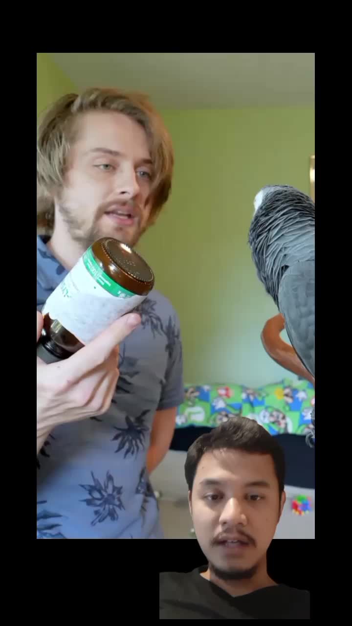 @P A N