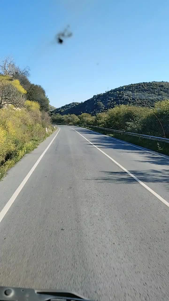 @Yankezillion