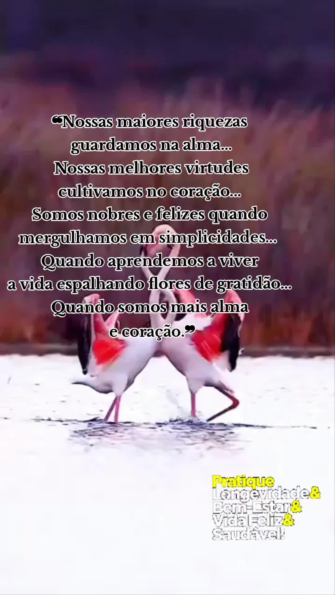 @Rosa Maria Pires