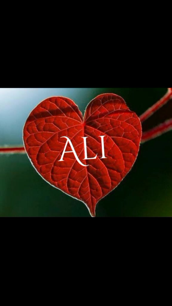 @Ali Asgar Ali
