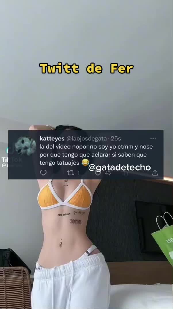 @Gatadetecho