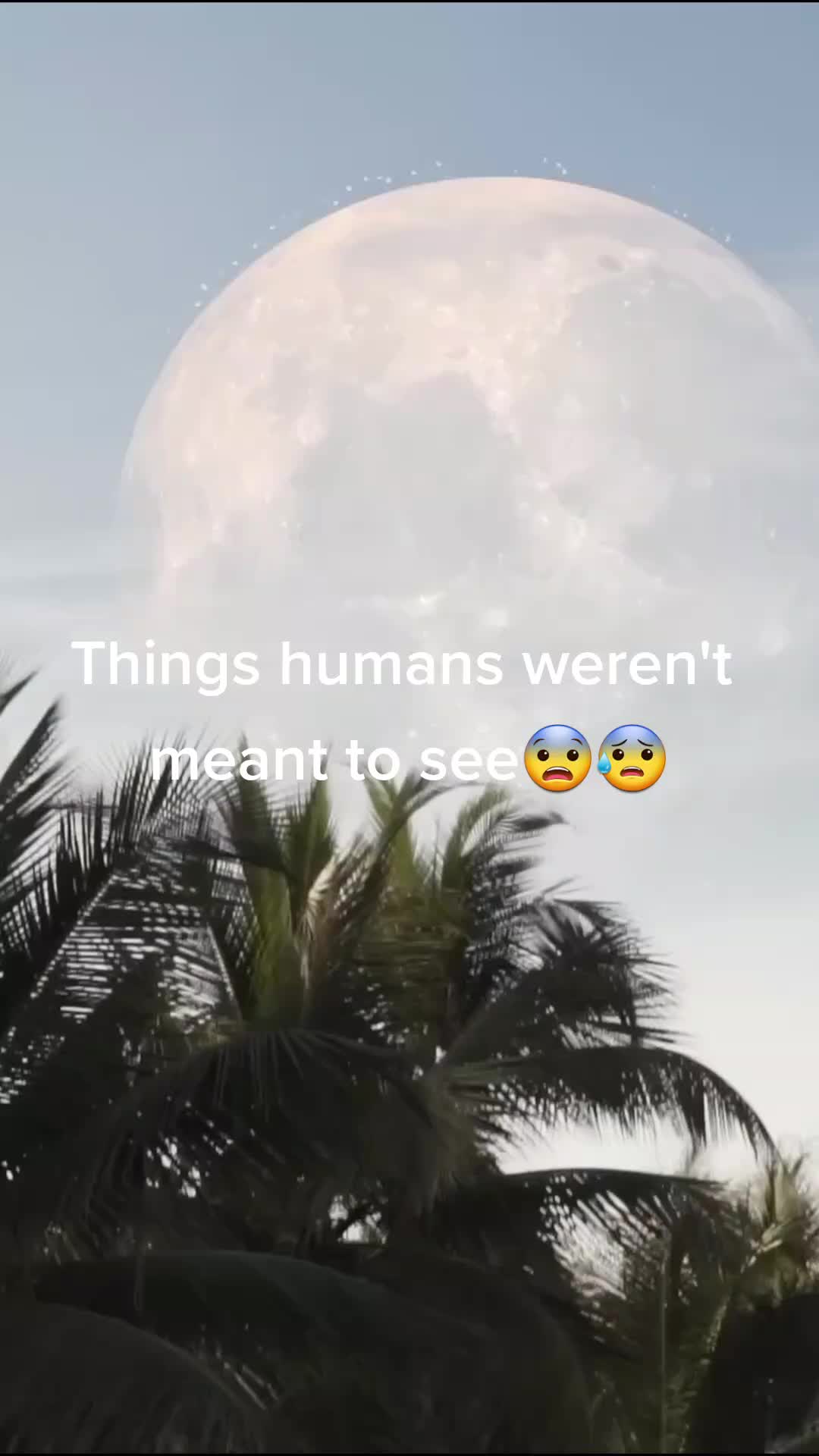 @LovingNature