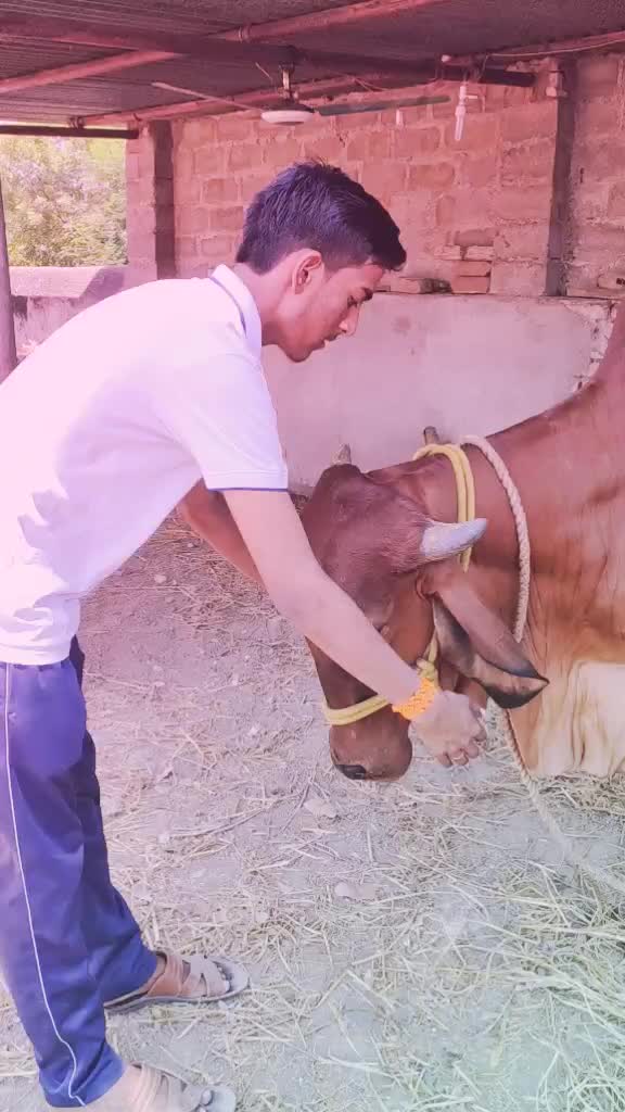 @Abhimanyu