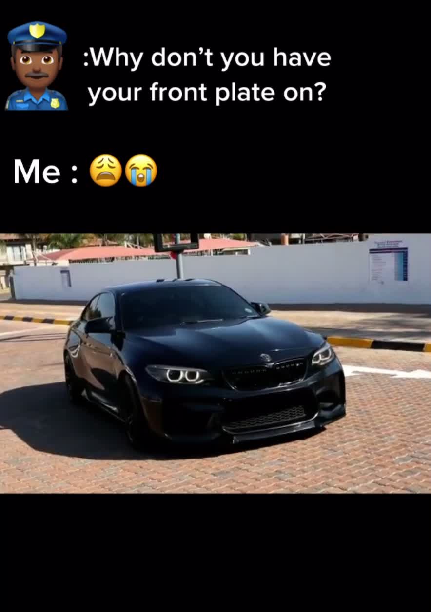 @Dark Stallion