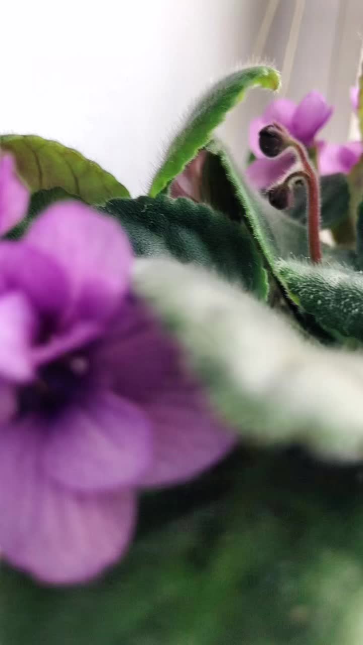 @𝑎𝑒𝑠𝑡ℎ𝑒𝑡𝑖𝑐•🌴