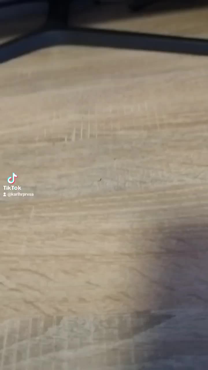 @contentkarl