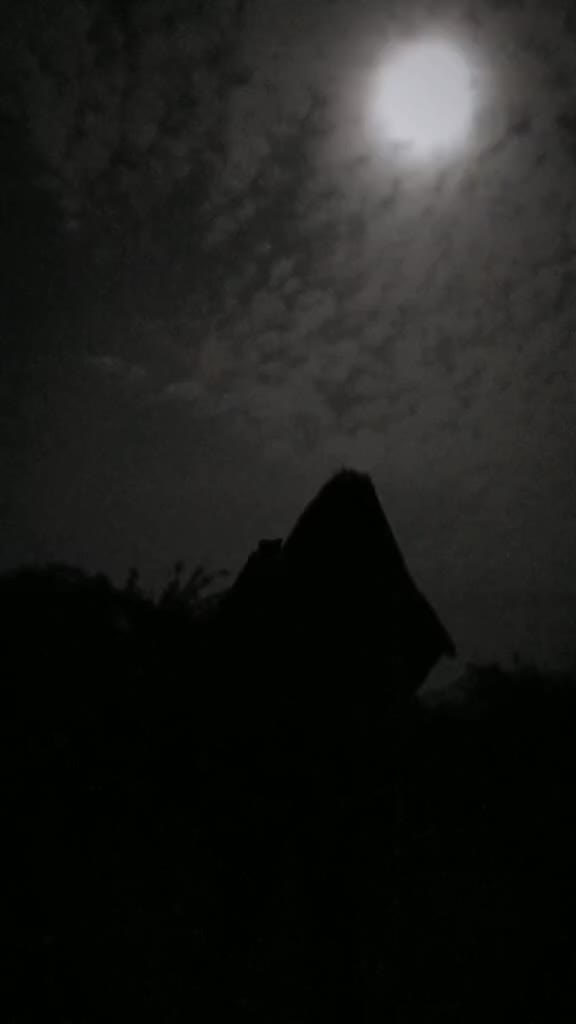 @Nishad Pottengattu