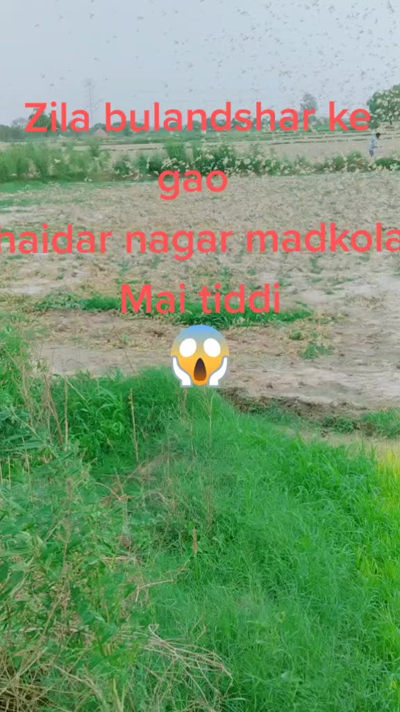 @Salman Khan