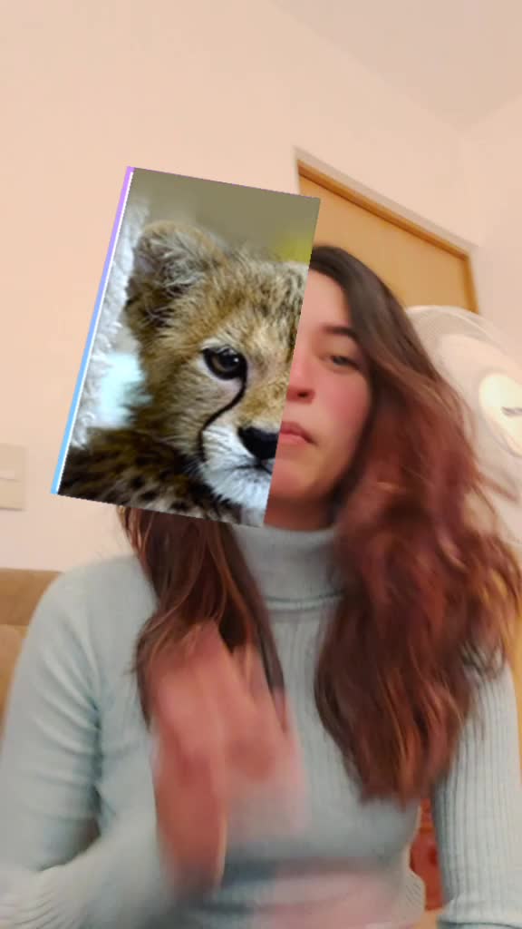 @Rocket_fungus726