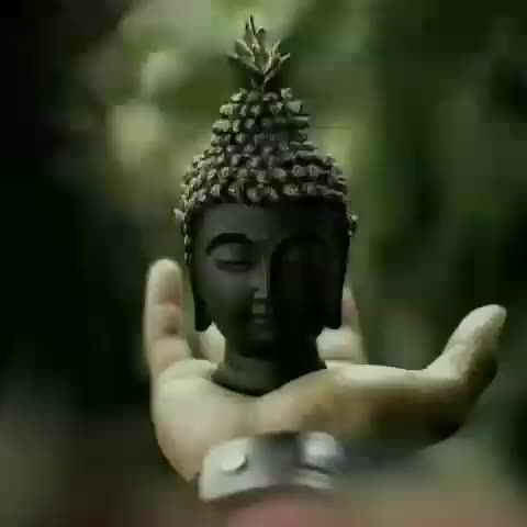 @भिमकन्या रोहिनी