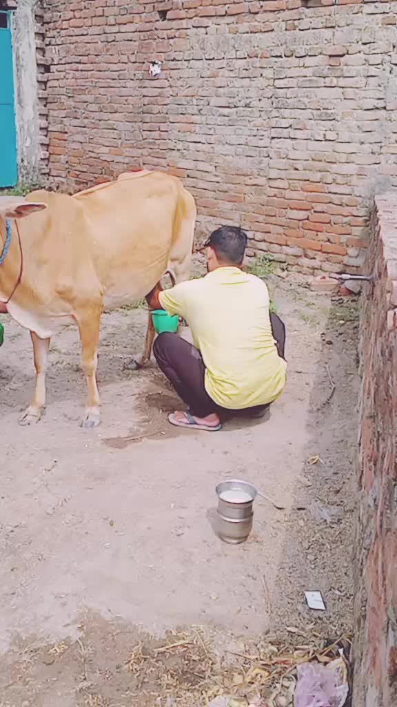 @rajkumat597