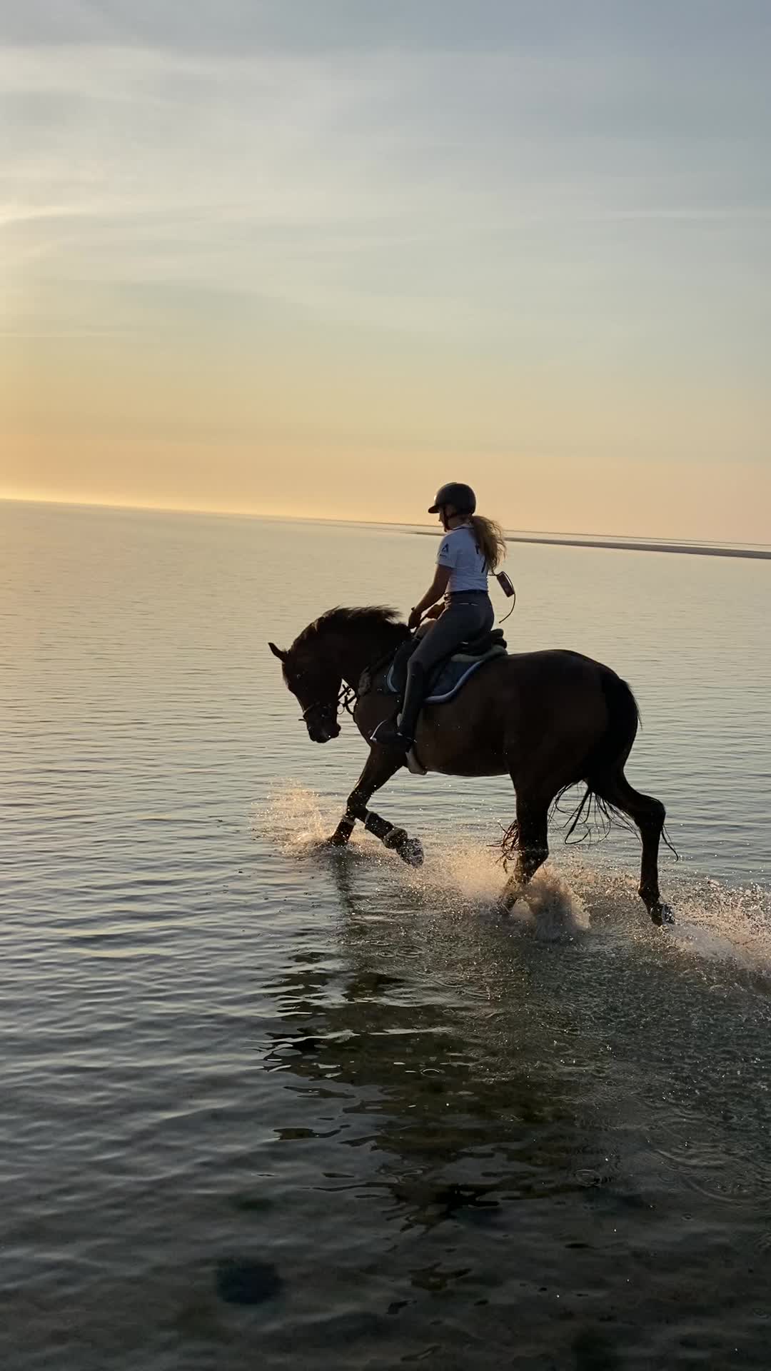 @reiterhof.andresen.amrum